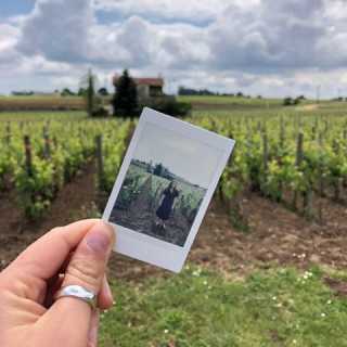 Melissa Hachey photo