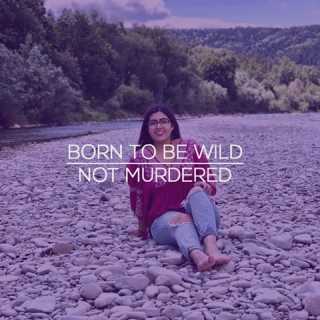 Mariana Gonzalez-Bravo photo