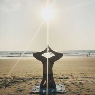 Victoria Fernandez-Prieto photo