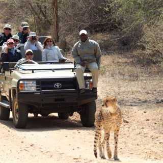 Catherine Beri photo