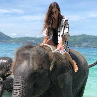 Estefania Solis-Covarrubias photo