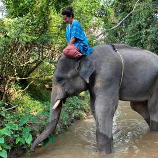 Cari Gilliland photo