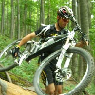 Martin Moravcik photo