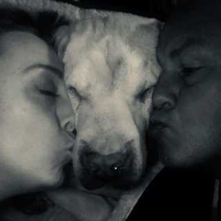 Heather Thomas photo