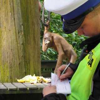 Andrzej Grabiski photo