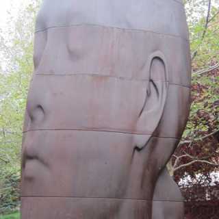 Ana-Cristina Neto-Pereira photo